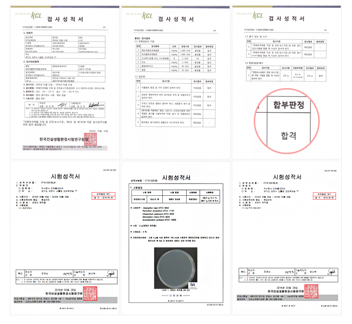 곰팡이 캐치젤 관련